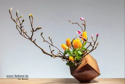 Икэбана с Ураной. Ikebana with Urana. - Сегодня в день защитников Отечества  хотим поделиться чудесной, очень лаконичной и по-мужски сдержанной икэбаной  в стиле морибана нашего прекрасного фотографа Александра Дворянкина.  Александр - удивительно