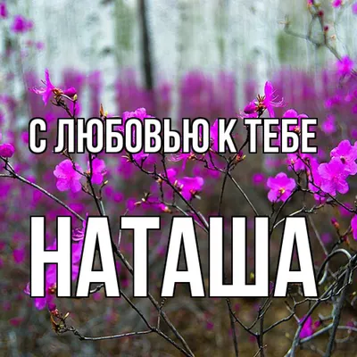 Картинки с именем Наташа (30 шт.)