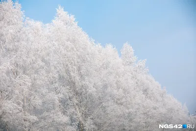 Загадка Про Иней Для Детей - 68 фото