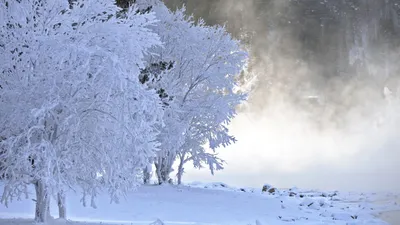 Новогодние праздники для детей - Умка