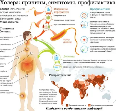 Кишечные инфекции. - Ульяновский областной центр профессиональной паталогии  им. Максимчука В.М.