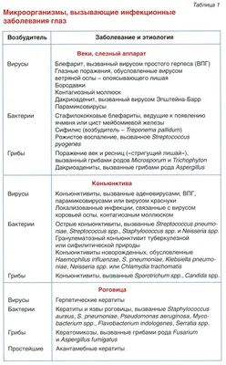 Инфекционные заболевания у детей: Протоколы диагностики и лечения,  профилактика | Харченко Геннадий Андреевич - купить с доставкой по выгодным  ценам в интернет-магазине OZON (384535984)