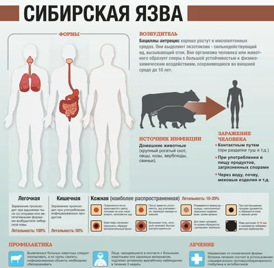 Инфекционные заболевания. Неделя профилактики инфекционных заболеваний.  вт.ч. Всемирный день борьбы с туберкулезом | ГОРОДСКОЙ  КОНСУЛЬТАТИВНО-ДИАГНОСТИЧЕСКИЙ ЦЕНТР №1