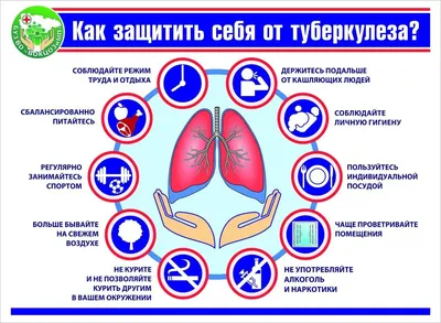 Инфекционные болезни и профилактика внутрибольничных инфекций [Владимир  Максимович Цыркунов] (fb2) картинки и рисунки | КулЛиб электронная  библиотека