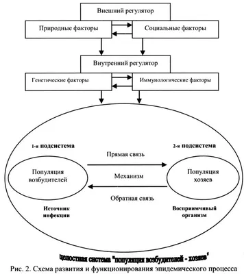 Профилактика энтеровирусной инфекции