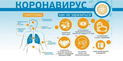 Анатомия Человека Скелет И Органы 3d Рендер Рак Боль И Инфекционные  Заболевания Вспышка Вируса — стоковые фотографии и другие картинки  Абстрактный - iStock