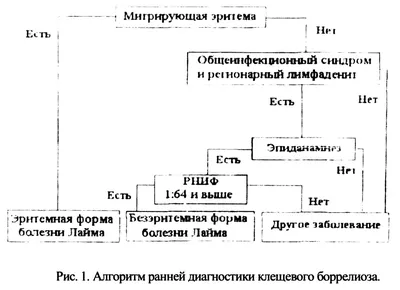 Кишечные инфекции у детей, причины, симптомы - Евромед Кидс