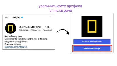 Обои девушка с короной | Пожизненный Игрок | Дзен