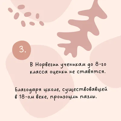 Неужели я похож на ... о коале : Kalysh, Kate: Amazon.com.mx: Libros