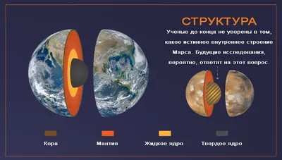 Глаза человека и животных