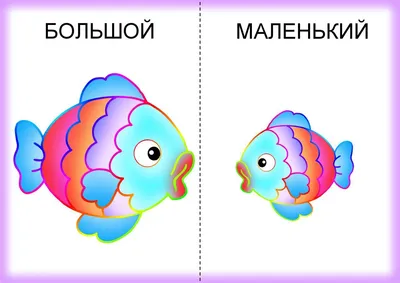 Школа: три века назад и сейчас. История российского образования в картинках  и фактах