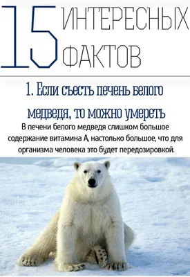 Интересные факты обо всем на свете (15 фактов) » Невседома - жизнь полна  развлечений, Прикольные картинки, Видео, Юмор, Фотографии, Фото, Эротика.  Развлекательный ресурс. Развлечение на каждый день