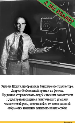 Вы не знали этого про мат: 5 фактов про мат, о которых вы не догадывались  (удивительно) | Интересно о разном | Дзен