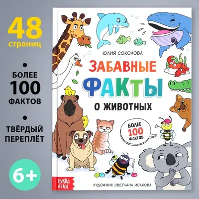 Интересные факты о космосе и Солнечной системе (15 фото + 1 видео) »  Невседома - жизнь полна развлечений, Прикольные картинки, Видео, Юмор,  Фотографии, Фото, Эротика. Развлекательный ресурс. Развлечение на каждый  день