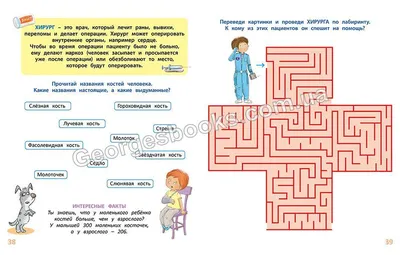 И все-таки она вертится!»: самые интересные факты о маятнике Фуко