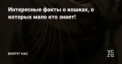 Остров рыжих кошек • Анна Новиковская • Научная картинка дня на «Элементах»  • Зоология, Генетика