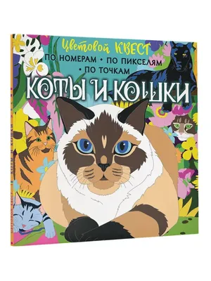 Семейство кошачьих: истории из жизни, советы, новости, юмор и картинки —  Горячее, страница 2 | Пикабу