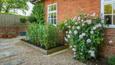 Дизайн участка загородного дома: 50 фото идей, как облагородить и озеленить  своими руками