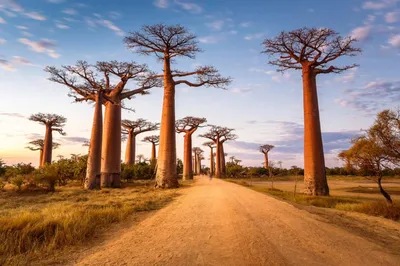 Африка - 10 самых красивых мест - Удивительный мир