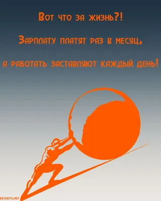 ПервЧтение(в картинках) Теремок (В.П. Аникин) - купить книгу с доставкой в  интернет-магазине «Читай-город». ISBN: 978-5-17-982883-9