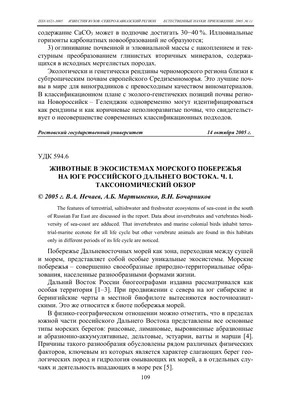 Животные в экосистемах морского побережья на юге российского Дальнего  Востока. Ч. I. таксономический обзор – тема научной статьи по биологическим  наукам читайте бесплатно текст научно-исследовательской работы в  электронной библиотеке КиберЛенинка