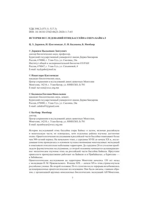 Баклан - описание птицы | Среда обитания и где можно встретить в походе