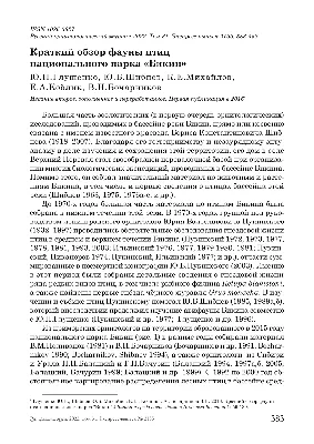 Хогвартс. Черноморье - Тематический детский лагерь для детей 8-18 лет, г.  Сочи, Краснодарский край, Россия