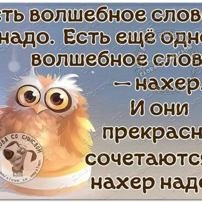 Более 100 мотивационных цитат для поощрения совместной работы в коллективе  [2023] • Asana