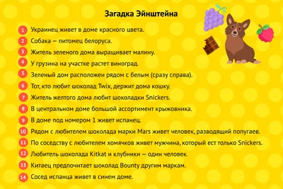 Загадка: истории из жизни, советы, новости, юмор и картинки — Все посты |  Пикабу