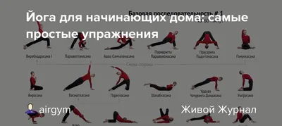 Йога для начинающих — Практики — Студия Йога+