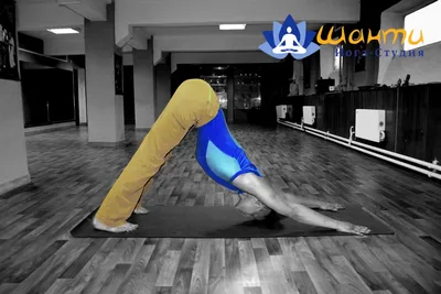 Дыхательная гимнастика в хатхе-йоге для начинающих. Дыхательные упражнения  пранаямы для работы с энергией