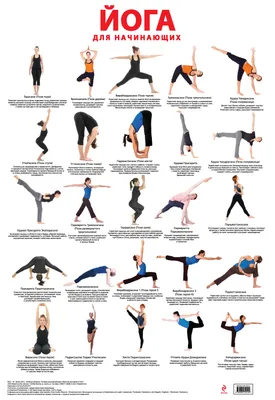 Комплекс йоги для рук и плеч | YogaVita-йога для начинающих | Дзен