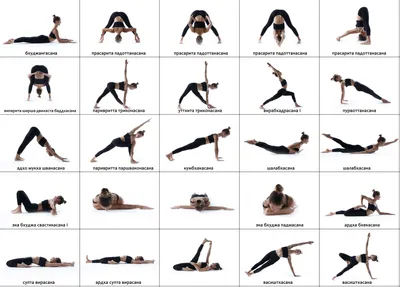 Асаны биркам йоги — YogaNotes