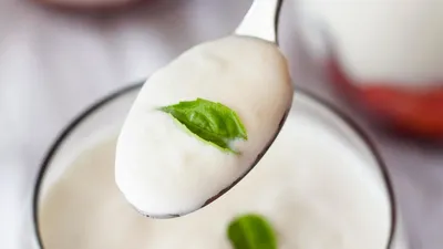 7 рецептов прекрасных домашних йогуртов с натуральными добавками | 10 Соток  | Дзен