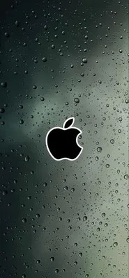 Пин от пользователя Plézer Krisztián на доске Apple IPhone Wallpaper |  Яблоко обои, Обои для iphone, Фоны для iphone