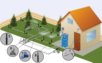 Изображение: Экономичный полив на вашем участке