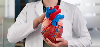Механизм развития и симптомы ишемической болезни сердца (ИБС) , методы  лечения и диагностика