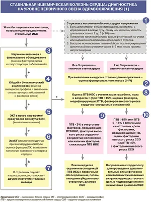 cmp_sochi - Ишемическая болезнь сердца, стенокардия ИБС - ишемическая  болезнь сердца (стенокардия напряжения, нестабильная стенокардия, инфаркт  миокарда) – является следствием сужения и закупорки основных артерий сердца  атеросклеротическими бляшками ...