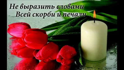 https://minleshoz.tatarstan.ru/index.htm/news/2265715.htm