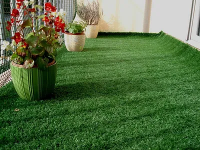 Как выбрать газонную траву для дачи : советы специалистов | Park Decor в  Тюмени