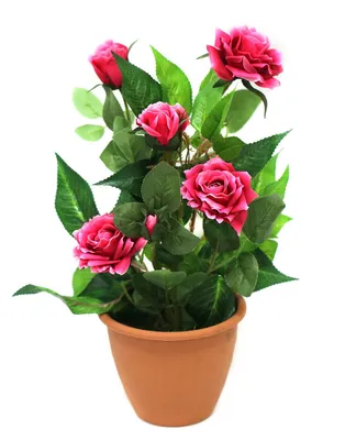 Искусственные цветы для украшения дома или офиса купить по низким ценам в  интернет-магазине Uzum (777264)