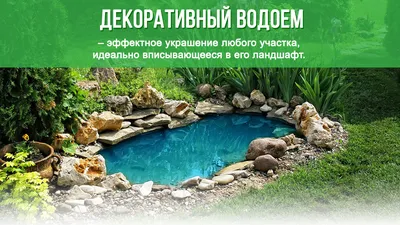 Декоративный пруд на участке | ВКонтакте