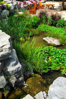 Картинка искусственных водоемов, уникальное украшение города