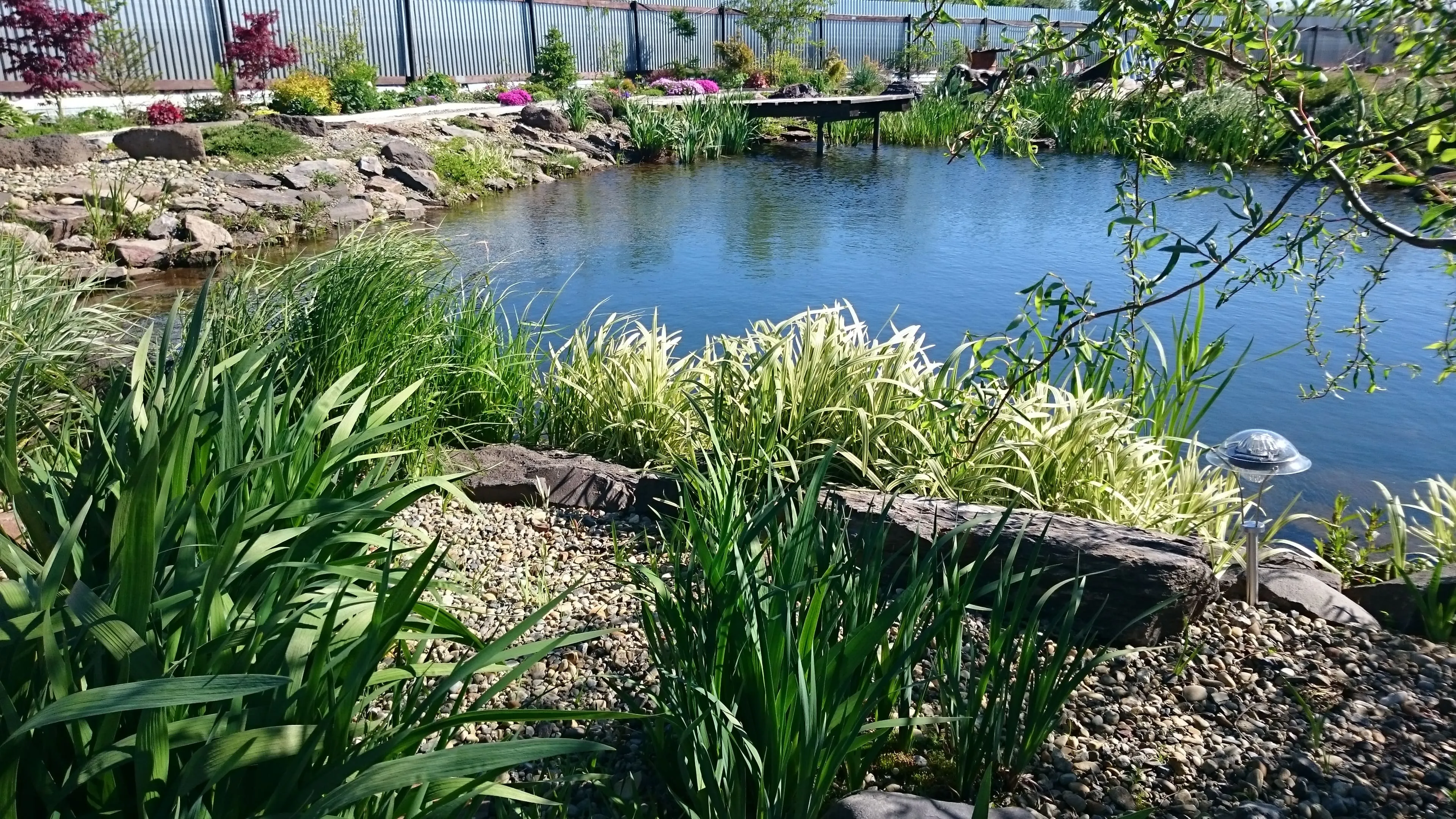 Пруд искусственное сообщество. Пруд искусственный водоем. Городской водоем. Искусственное Озеленение. Японский сад растения вокруг водоёма.