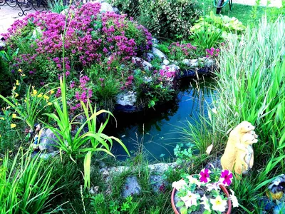 Фотография искусственных водоемов, которые создадут атмосферу уюта и спокойствия в вашем саду.