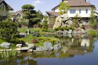Фотографии искусственных водоемов, которые помогут вам создать уголок природы в вашем городском доме.