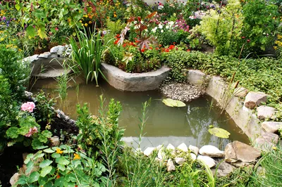 Фотографии искусственных водоемов, которые помогут вам создать уникальный ландшафтный дизайн в вашем саду.