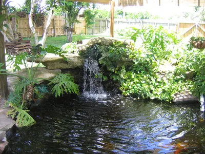 Фото искусственных водоемов, которые покажут вам, как создать красивый фонтан в вашем доме.