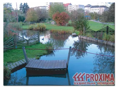 Искусственный пруд под ключ – цены на строительство искусственного пруда на  даче и загородном участке - ВОДОЕМЧИК
