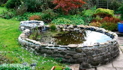 Как установить и оформить пластиковый пруд в саду. Выбор чаши, декор и  озеленение, личный опыт. Фото — Ботаничка